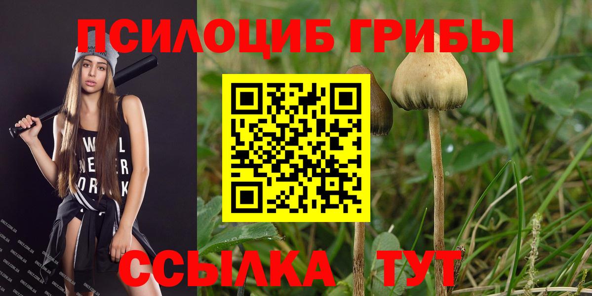 Галлюциногенные грибы мухоморы  Вход с VPN  Семёнов 